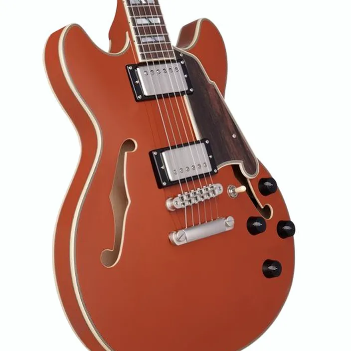 DAngelico Deluxe Mini DC LE Rust , Avis, Test