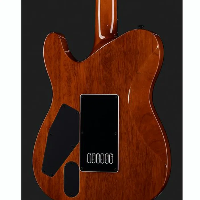ESP LTD TE-1000ET Koa Natural : Test, Comparatif et Avis
