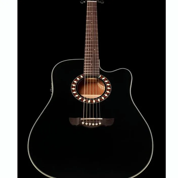 Guitare acoustique Harley Benton HB Custom Line CLD-10SC w/Bag / Test, Avis & Comparatif