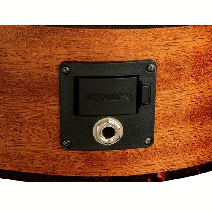 Guitare Framus FD 14 SV Dreadnougth VTSN EQ / Avis, Comparatif et Test