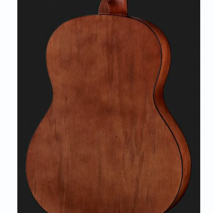 Guitare Ortega R55 | Avis, Test et Comparatif