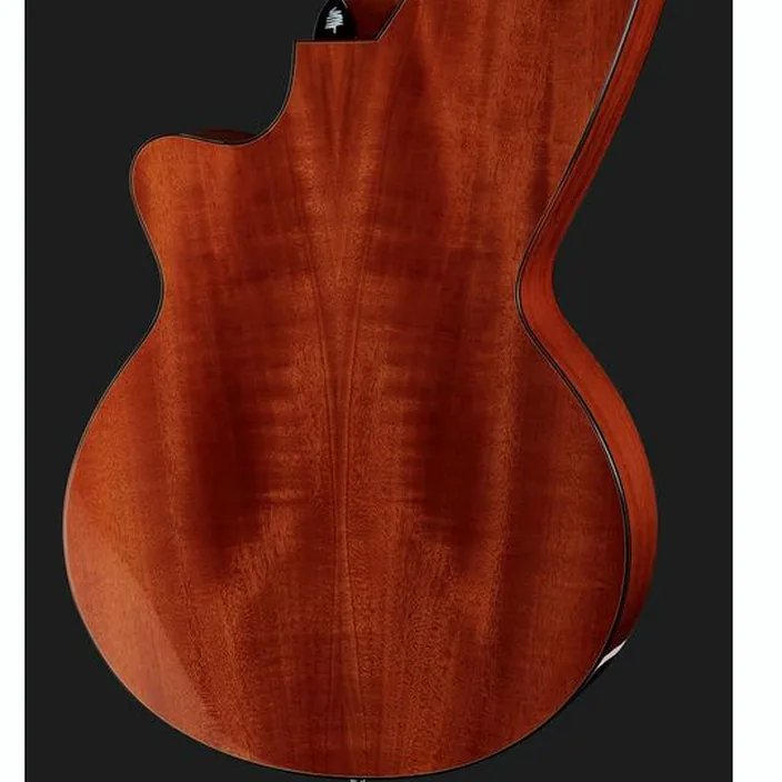Guitare Timberline Guitars T30HGc-e Harp Guitar / Test et Avis