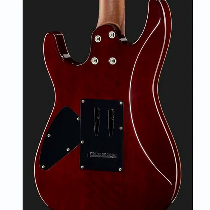 Harley Benton Fusion-III HSH Roasted w/Case - Test, Avis