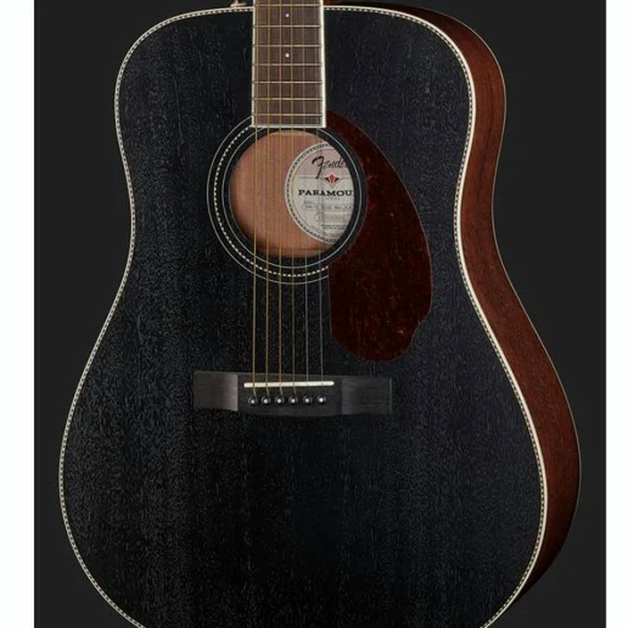 Guitare acoustique Fender PM-1E Dreadnought BLK / Test & Avis