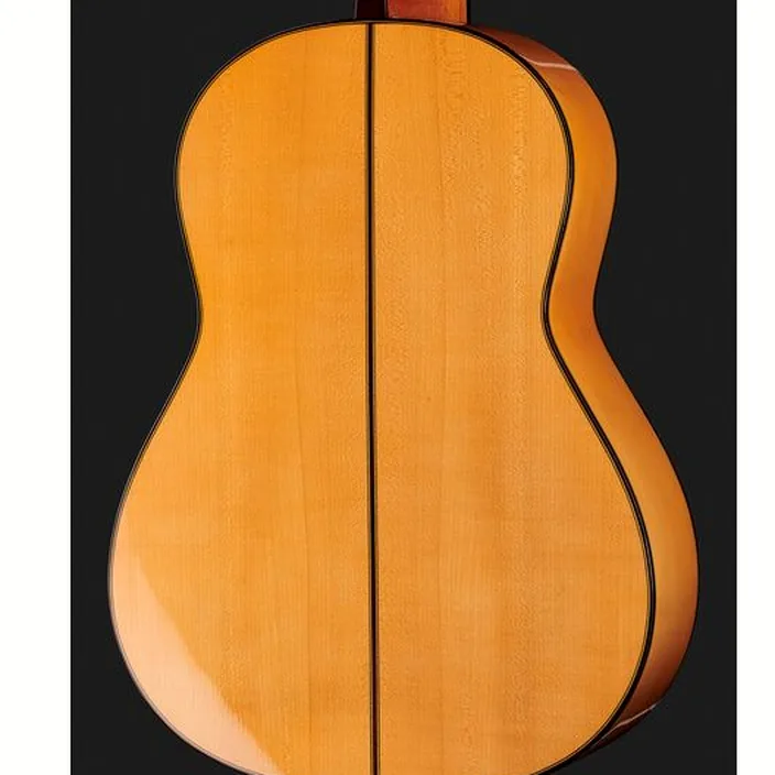 La guitare Alberto Hernandez 10-Flamenco - Test, Avis & Comparatif