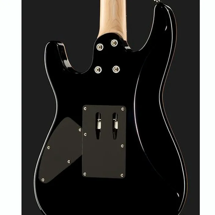 La guitare électrique Harley Benton Fusion-III HH FR EB FBB w/Case / Test, Avis
