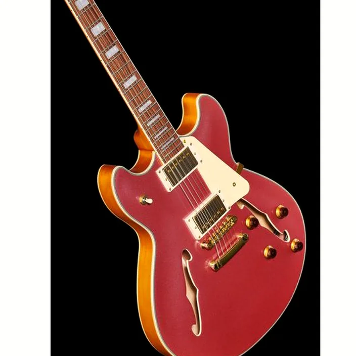 La guitare électrique Harley Benton HB-35Plus Metallic Plum Bundle / Avis, Test, Comparatif