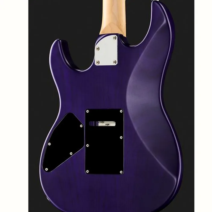 La guitare FGN J-Standard Odyssey DU TPF - Test, Comparatif, Avis