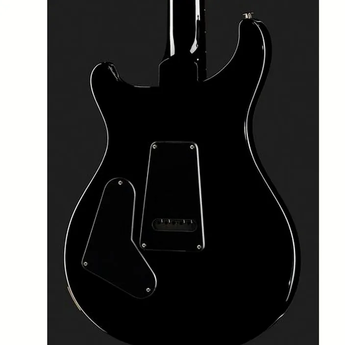 La guitare PRS S2 Custom 24 Birds CC , Test, Comparatif & Avis