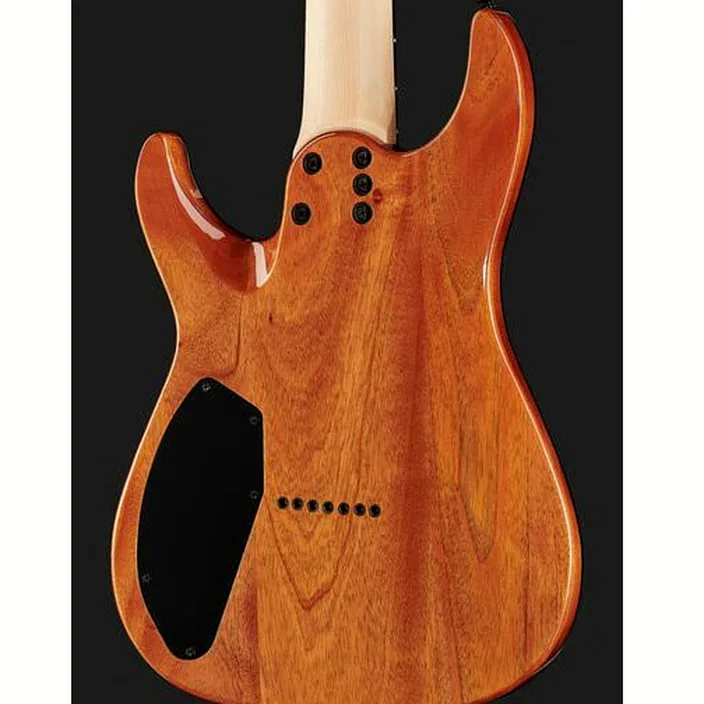 La guitare Schecter C-7 Pro AQB , Test, Avis et Comparatif