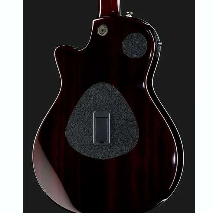 La guitare Taylor T5z Standard TS , Avis et Test