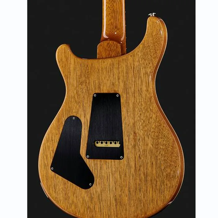 PRS Custom 24 ED , Comparatif, Avis et Test