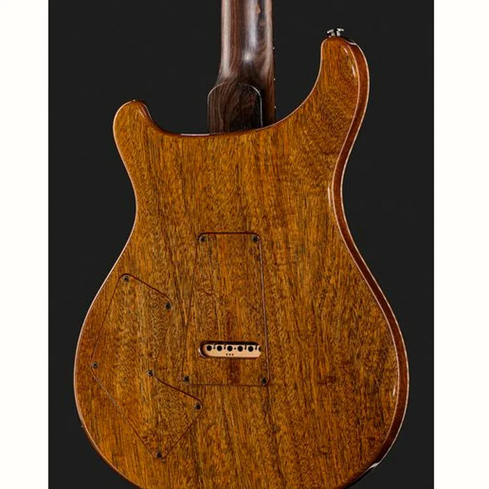 PRS Private Stock Modern Eagle V : Test, Comparatif, Avis