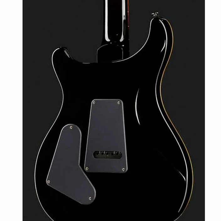 PRS SE Custom 24 BG - Comparatif, Test, Avis