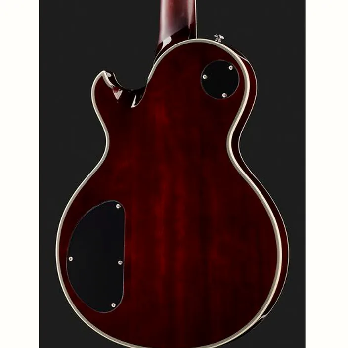Schecter Solo-II Custom GNAT / Test, Comparatif et Avis