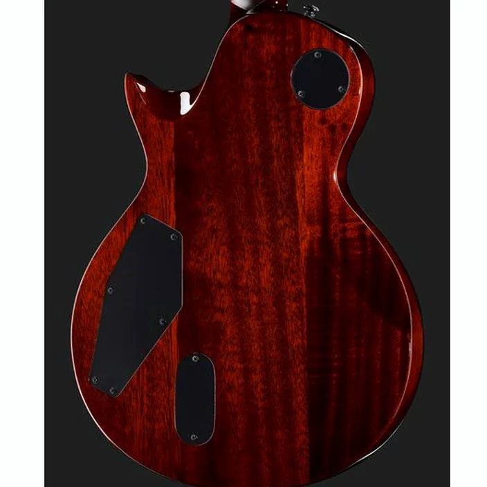 Guitare ESP LTD EC-1001FM Tiger Eye