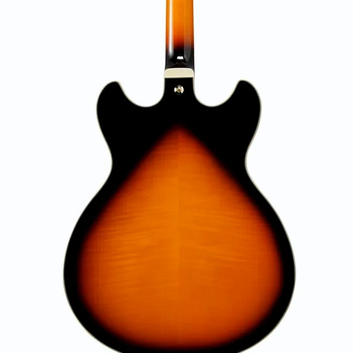 Guitare Ibanez AS113-BS
