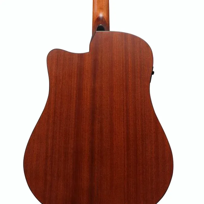 Guitare Acoustique Ibanez AAD50CE-LG