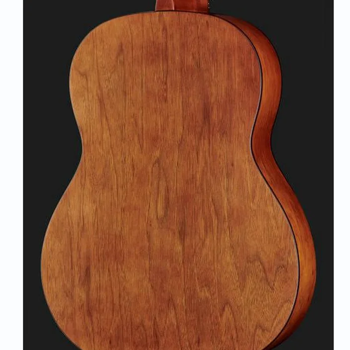 Guitare Classique Ortega R55DLX-BFT