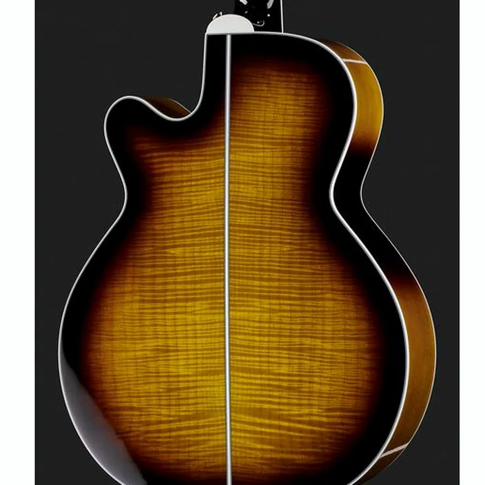 Et Avis de la guitare Acoustique Takamine EF450C-TTS