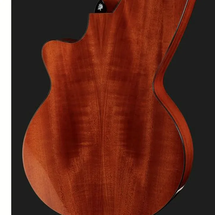 Et Avis de la guitare Acoustique Timberline Guitars T30HGc-e Harp Guitar