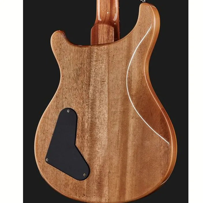 Et Avis PRS SE Pauls Guitar DC