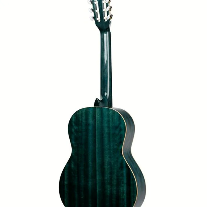 Et Test de la guitare Classique Ortega R121SNOC