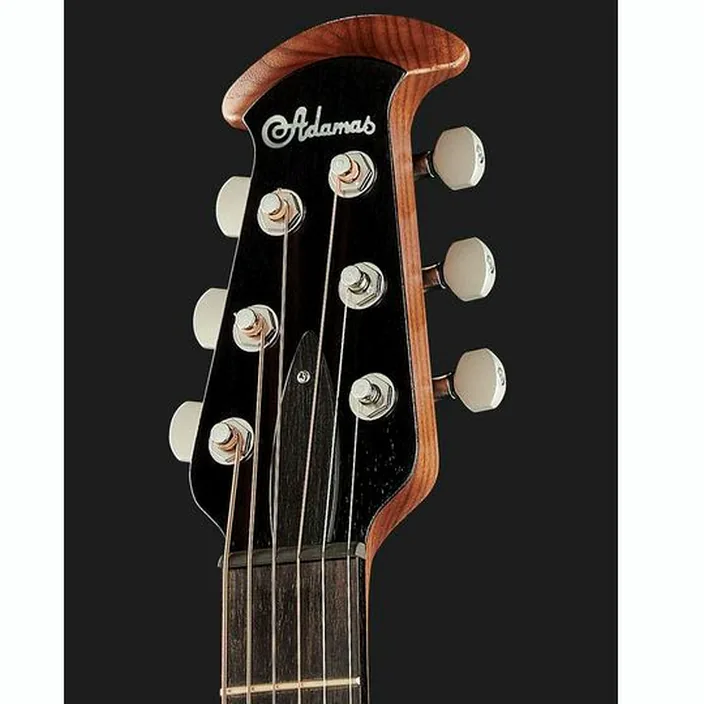 Et Test Guitare Adamas MD80-NWT