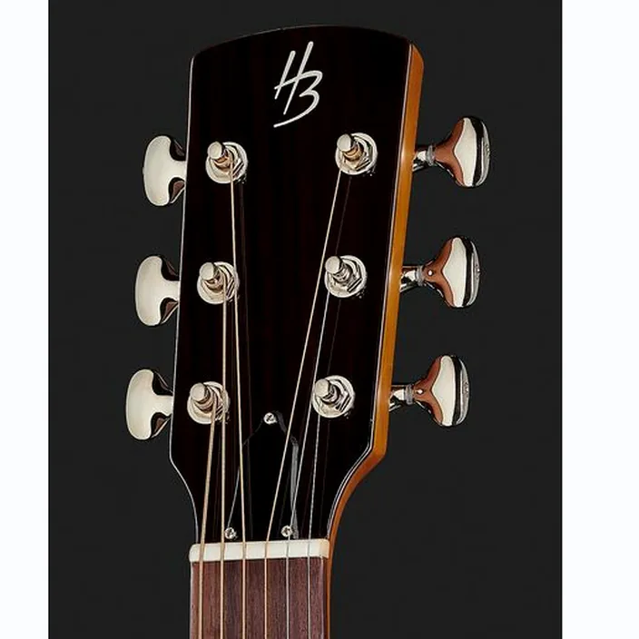 Et Test Guitare Harley Benton Hybrid Steel GR