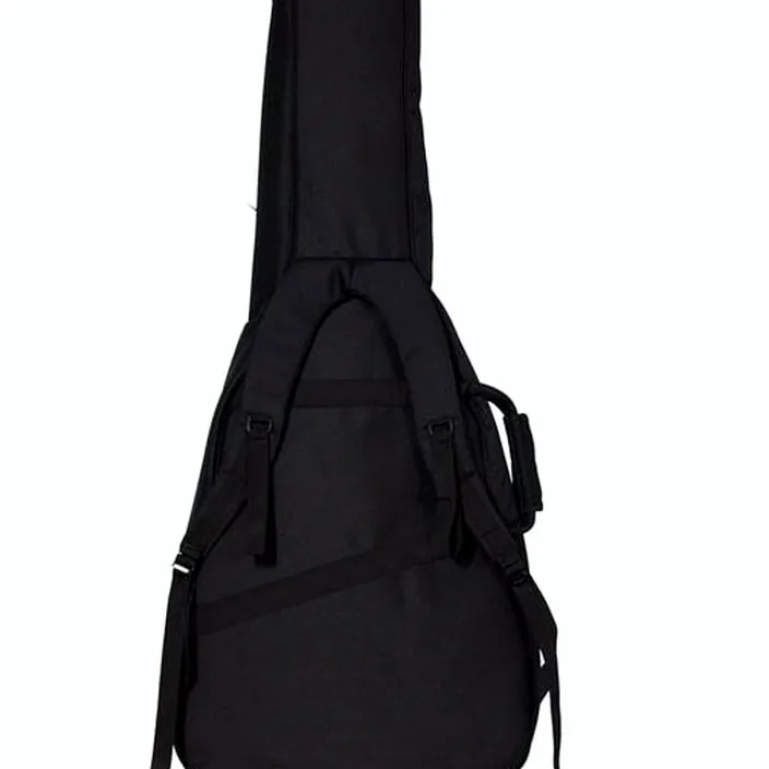 DAngelico Premier Mini DC Black Flake