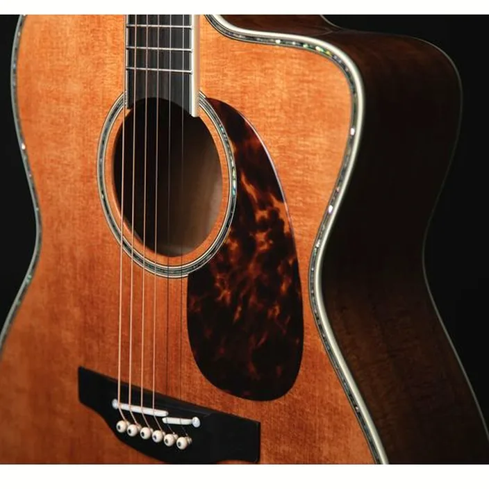 Guitare acoustique Takamine Limited 2022