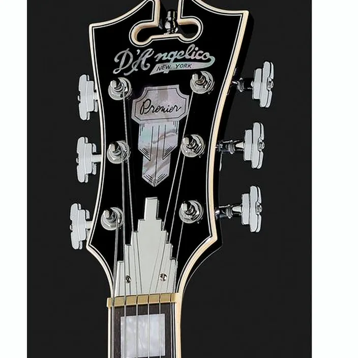 Guitare DAngelico Premier SS Black Flake