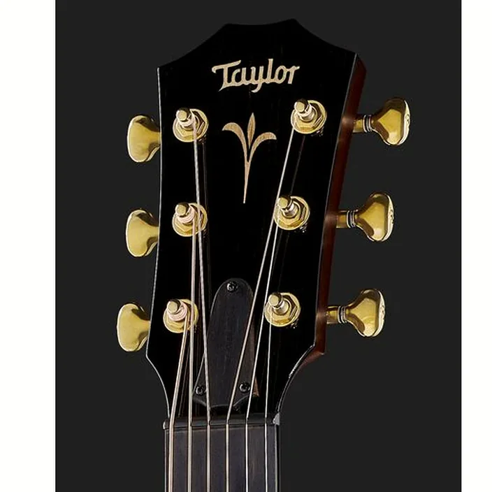 Guitare Taylor GT K21e