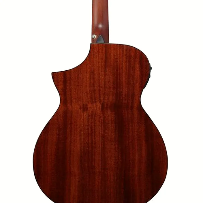 Guitare Acoustique Ibanez AEWC11-DVS