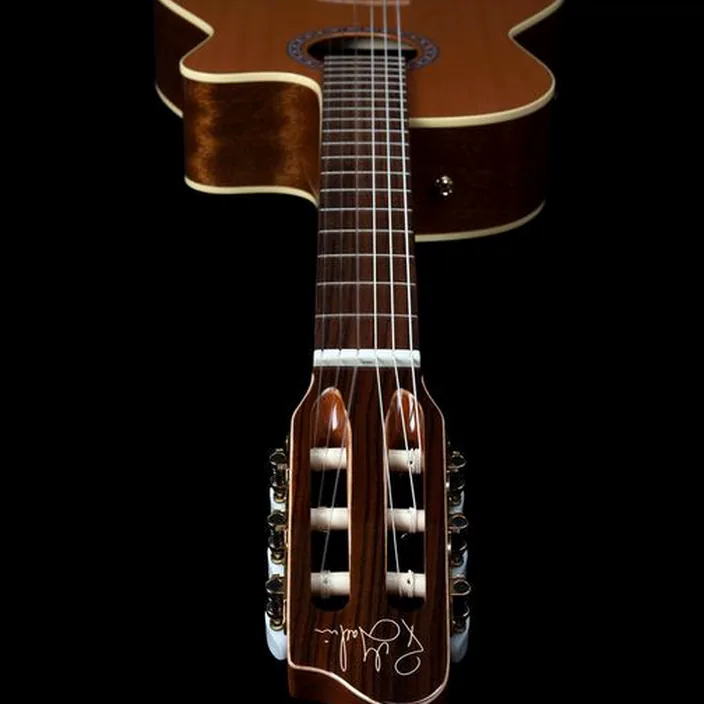 Guitare Godin Concert CW QIT