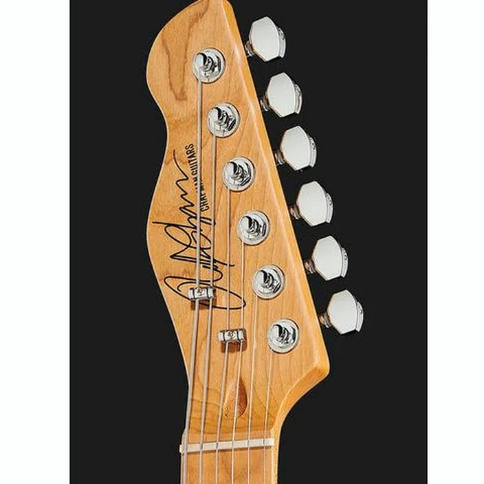 Chapman Guitars ML3 Pro Traditional CAM / Test, Comparatif, Avis