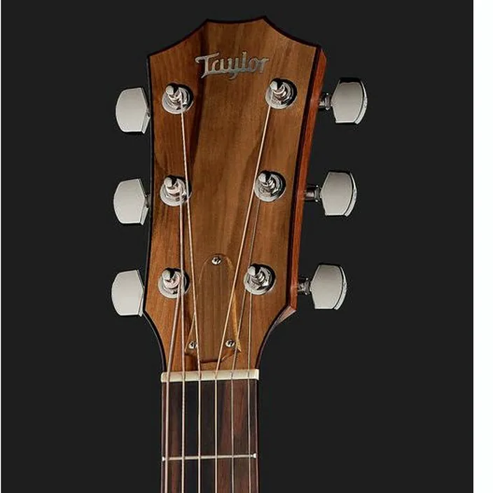 Guitare Acoustique Taylor Custom #10101 Grand Auditorium - Comparatif, Avis & Test