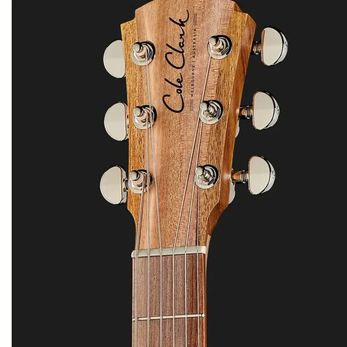 Guitare Cole Clark TL2EC-BLBL-HUM - Comparatif, Avis & Test