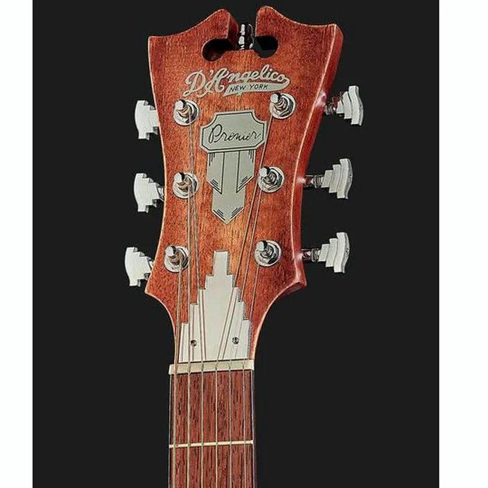 Guitare DAngelico Premier Gramercy LS Aged Mah Test, Comparatif & Avis