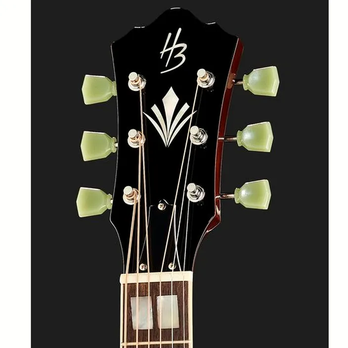 La guitare Acoustique Harley Benton Custom Line Superior-E Bundle , Test, Comparatif & Avis