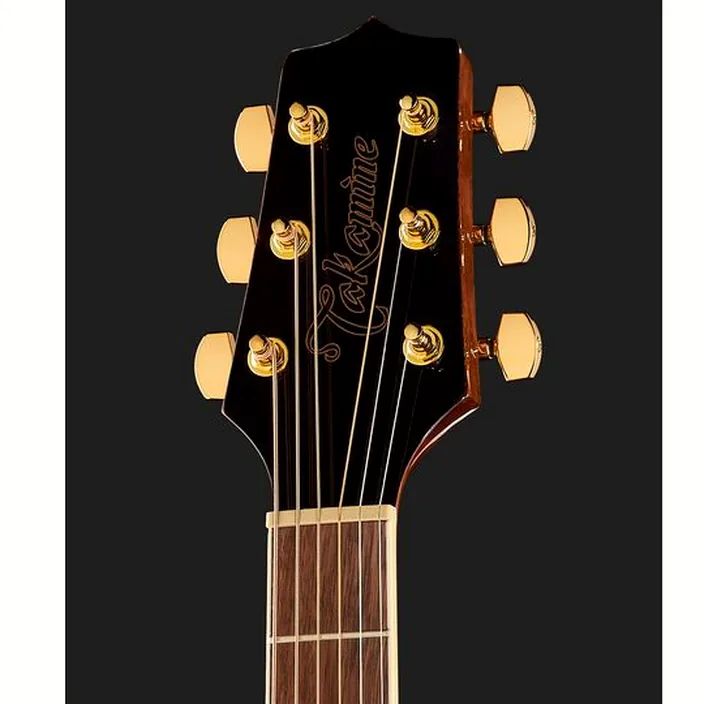 La guitare acoustique Takamine GD51CE-NAT w/Bag / Comparatif, Avis, Test