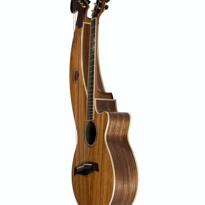 La guitare Acoustique Timberline Guitars T60HGc-e Harp Guitar , Comparatif, Avis et Test
