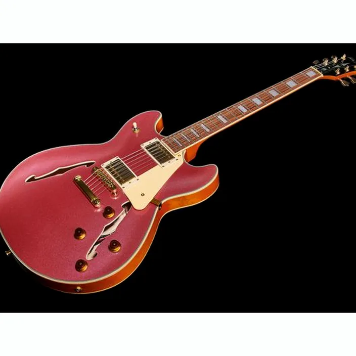 La guitare électrique Harley Benton HB-35Plus Metallic Plum Bundle / Avis, Test, Comparatif