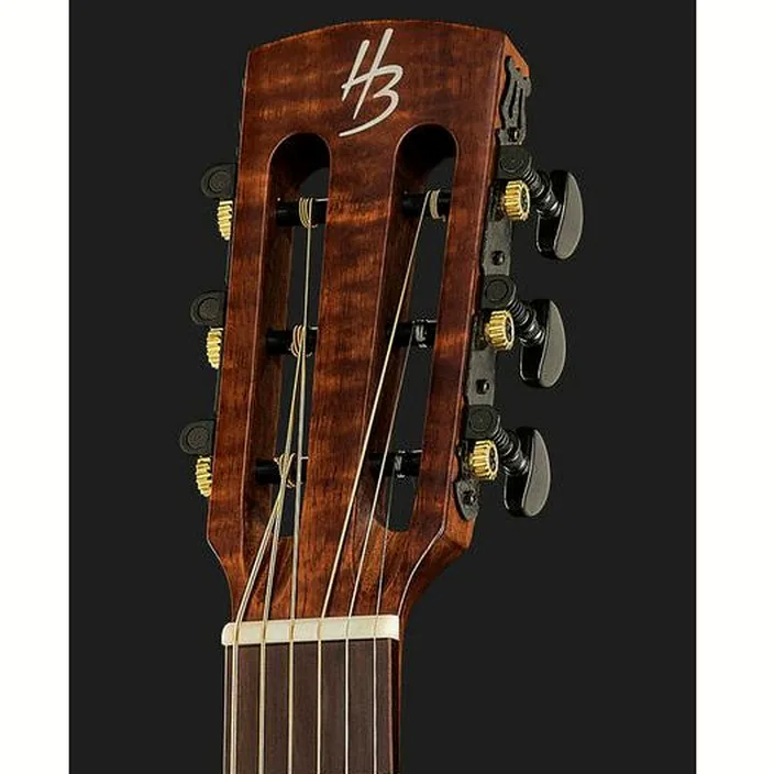 La guitare Harley Benton CLP-15E Flame Koa Exotic Avis, Test