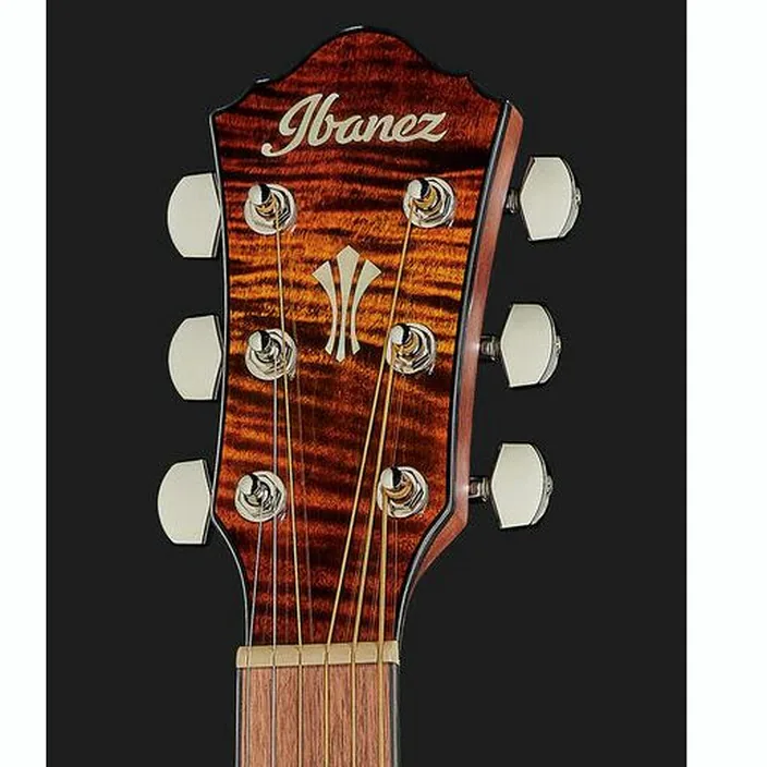La guitare Ibanez AEG70L-TIH , Avis, Comparatif & Test