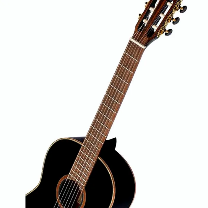 La guitare Ortega R221-BK Test & Avis