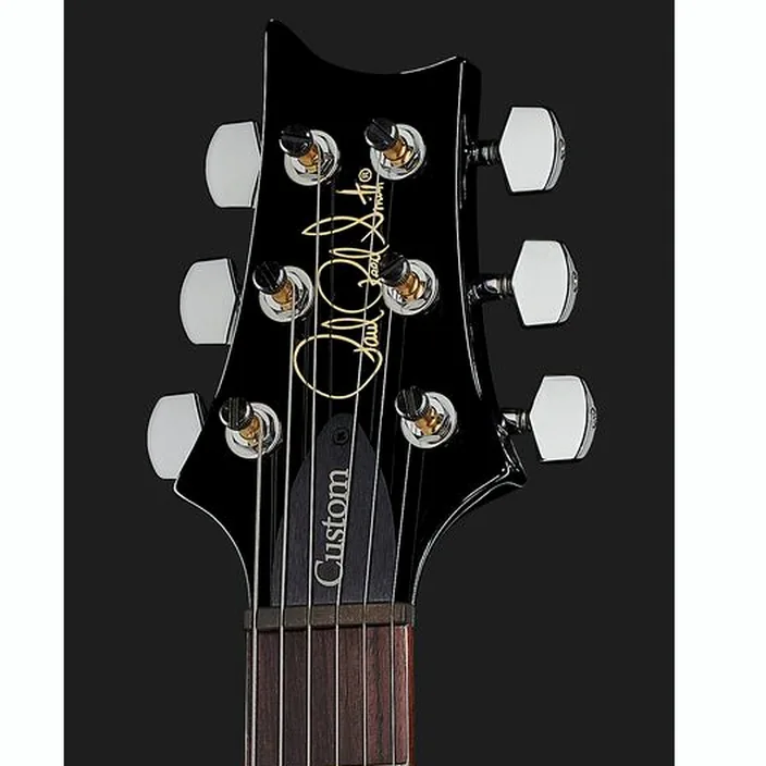 La guitare PRS S2 Custom 24 Birds CC , Test, Comparatif & Avis