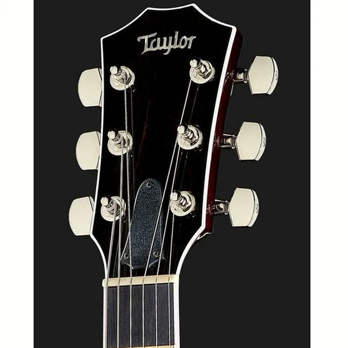 La guitare Taylor T5z Standard TS , Avis et Test