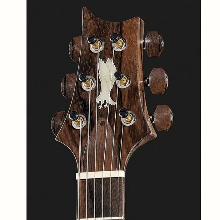 PRS Private Stock Modern Eagle V : Test, Comparatif, Avis