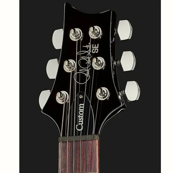 PRS SE Custom 24 BG - Comparatif, Test, Avis